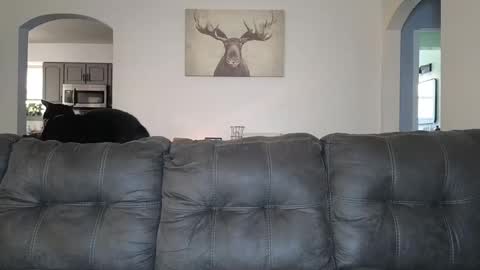 Snapshot of _sophia_grace_ chatting on 3, 10, 2025 SophiaGraceKnight online show from 3, 10, 2025