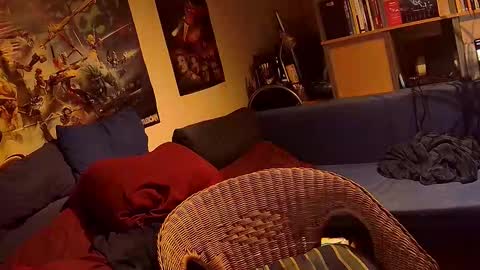 Sven online show from 8, 9, 2025