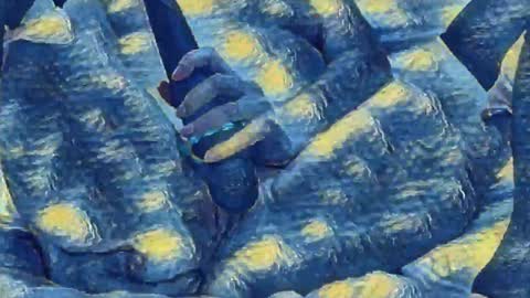 Evi online show from 29, 12, 2024