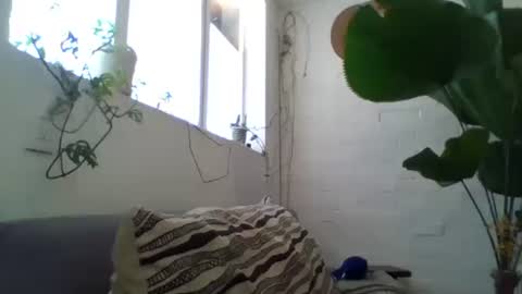 _tutti_frutti_ online show from 5, 2, 2025