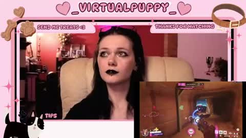 puppy online show from 7, 8, 2026