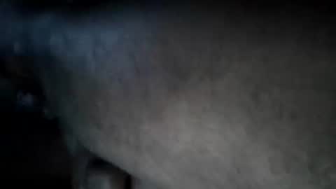 A2Please online show from 15, 9, 2025