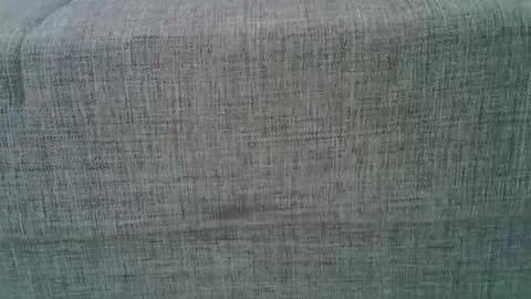 XXL online show from 8, 3, 2025