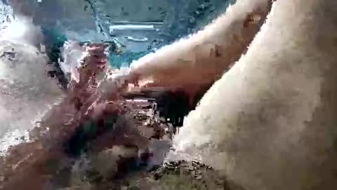 aaronvita online show from 11, 4, 2026