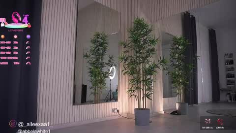 Snapshot of abbela_white chatting on 26, 2, 2025 Alexa online show from 26, 2, 2025