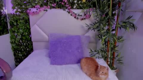 Snapshot of abby_piink chatting on 12, 11, 2025 ABBY online show from 12, 11, 2025