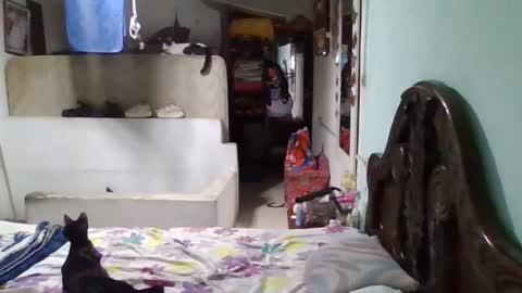 Snapshot of abbyasher chatting on 26, 1, 2025 Abby online show from 26, 1, 2025