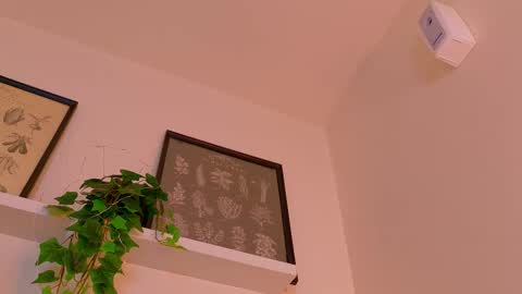 A B B Y online show from 23, 2, 2026