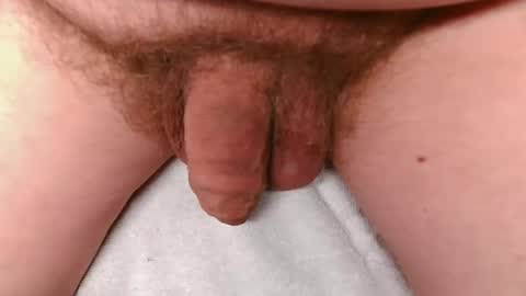 aberardo online show from 31, 3, 2026