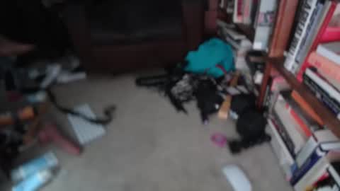 Snapshot of acacias2022 chatting on 1, 3, 2026 aCACiAs2022 online show from 1, 3, 2026