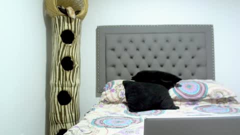 Snapshot of adan_eva960 chatting on 15, 1, 2025 eva online show from 15, 1, 2025