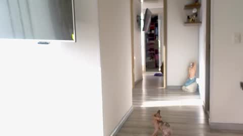 Snapshot of adan_eva960 chatting on 10, 9, 2025 eva online show from 10, 9, 2025