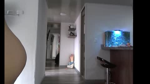 eva online show from 10, 2, 2026