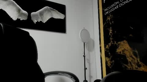    online show from 11, 6, 2026