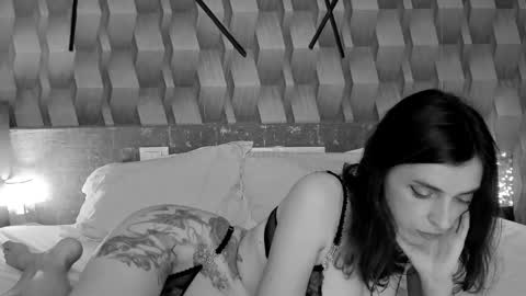 PMFORPVTBB online show from 12, 11, 2025