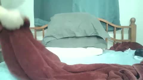 afreeman1 online show from 7, 1, 2026