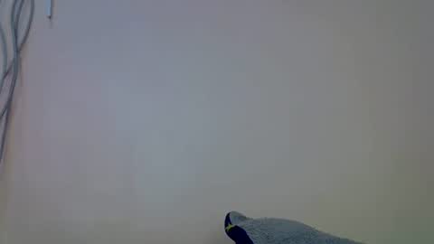 Kana online show from 16, 9, 2025