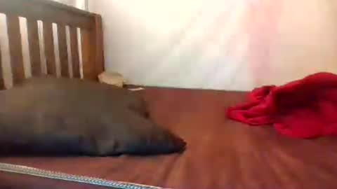 i wish to be someones real princess online show from 21, 7, 2026
