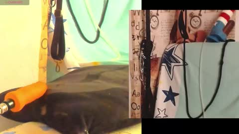 afroditacute16 online show from 27, 2, 2026