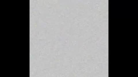 Polly online show from 7, 1, 2026