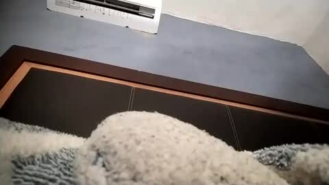 airoon91 online show from 16, 11, 2025