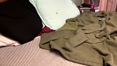 Snapshot of ajb5187517 chatting on 5, 1, 2026 ajb5187517 online show from 5, 1, 2026