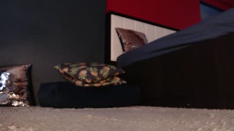 Alanna online show from 11, 1, 2025