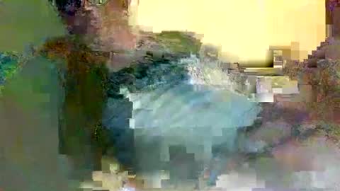 albandant online show from 11, 2, 2026