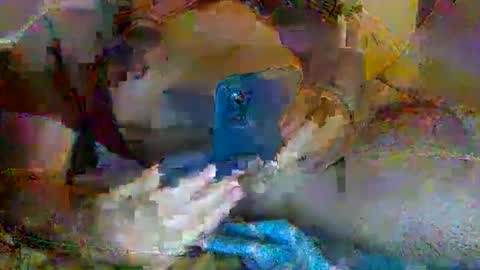 albandant online show from 26, 5, 2026
