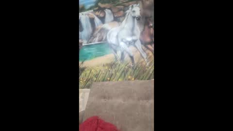 Snapshot of albina6543 chatting on 9, 2, 2026 albina online show from 9, 2, 2026