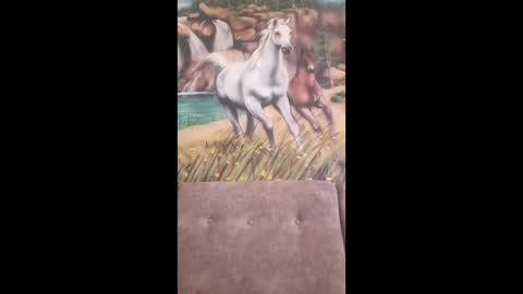 Snapshot of albina6543 chatting on 16, 2, 2026 albina online show from 16, 2, 2026