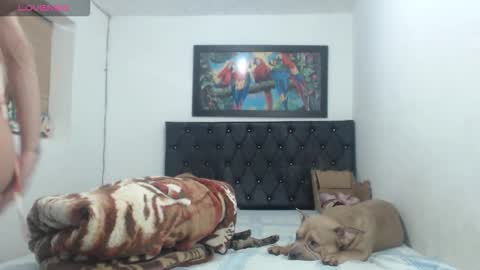 aleja online show from 27, 9, 2025