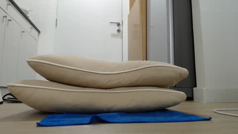 Snapshot of alex_nicha chatting on 21, 9, 2025 Nicha online show from 21, 9, 2025