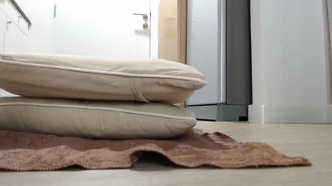 Snapshot of alex_nicha chatting on 18, 10, 2025 Nicha online show from 18, 10, 2025