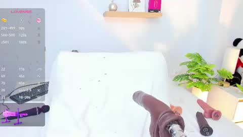 Alexa online show from 22, 7, 2026