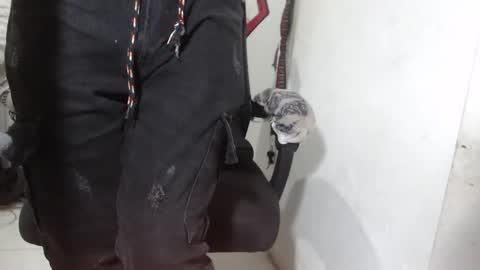 Alexamdergal online show from 12, 3, 2026