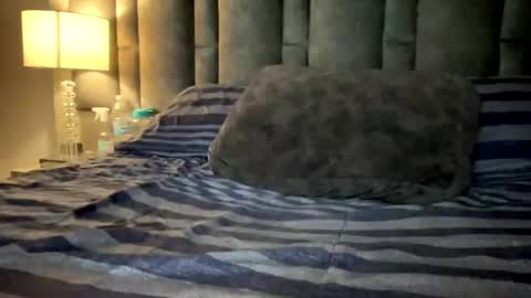 Snapshot of alexandergrey760886 chatting on 12, 3, 2025 alexander grey online show from 12, 3, 2025