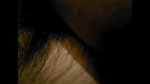 alexbelli7 online show from 3, 2, 2026