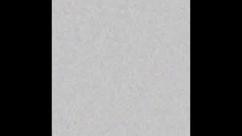 Alex Dimartino online show from 13, 9, 2025