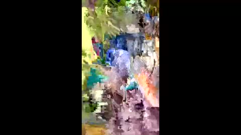 alexey932 online show from 19, 1, 2026