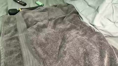 Alexis online show from 13, 12, 2024