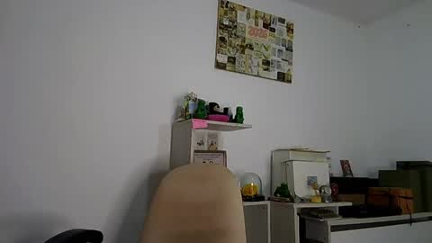 Alia      Anjali  online show from 17, 3, 2026