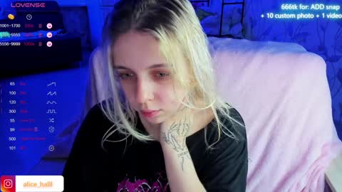 Snapshot of alice_halle chatting on 17, 12, 2024 alice_halle online show from 17, 12, 2024