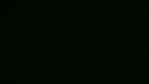 Alice online show from 19, 12, 2025