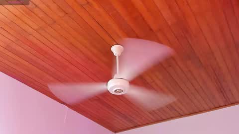 Snapshot of alicekiing_ chatting on 16, 12, 2025 ALICEKIING online show from 16, 12, 2025