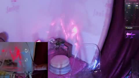 Alicekingdom online show from 6, 3, 2025