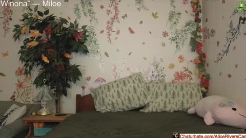 Snapshot of aliceriverscam chatting on 17, 12, 2024 Alice Rivers ---- Enter my public Discord- online show from 17, 12, 2024