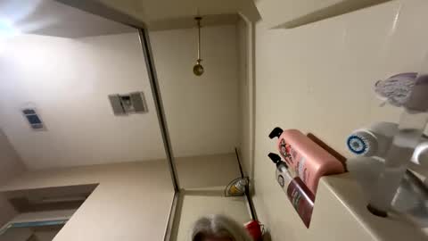 Snapshot of alicescuriosity chatting on 17, 12, 2024 Alices Curiosity online show from 17, 12, 2024