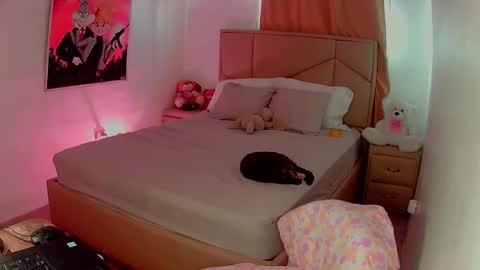 aliciabiden online show from 17, 2, 2025