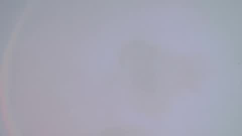     online show from 14, 2, 2025